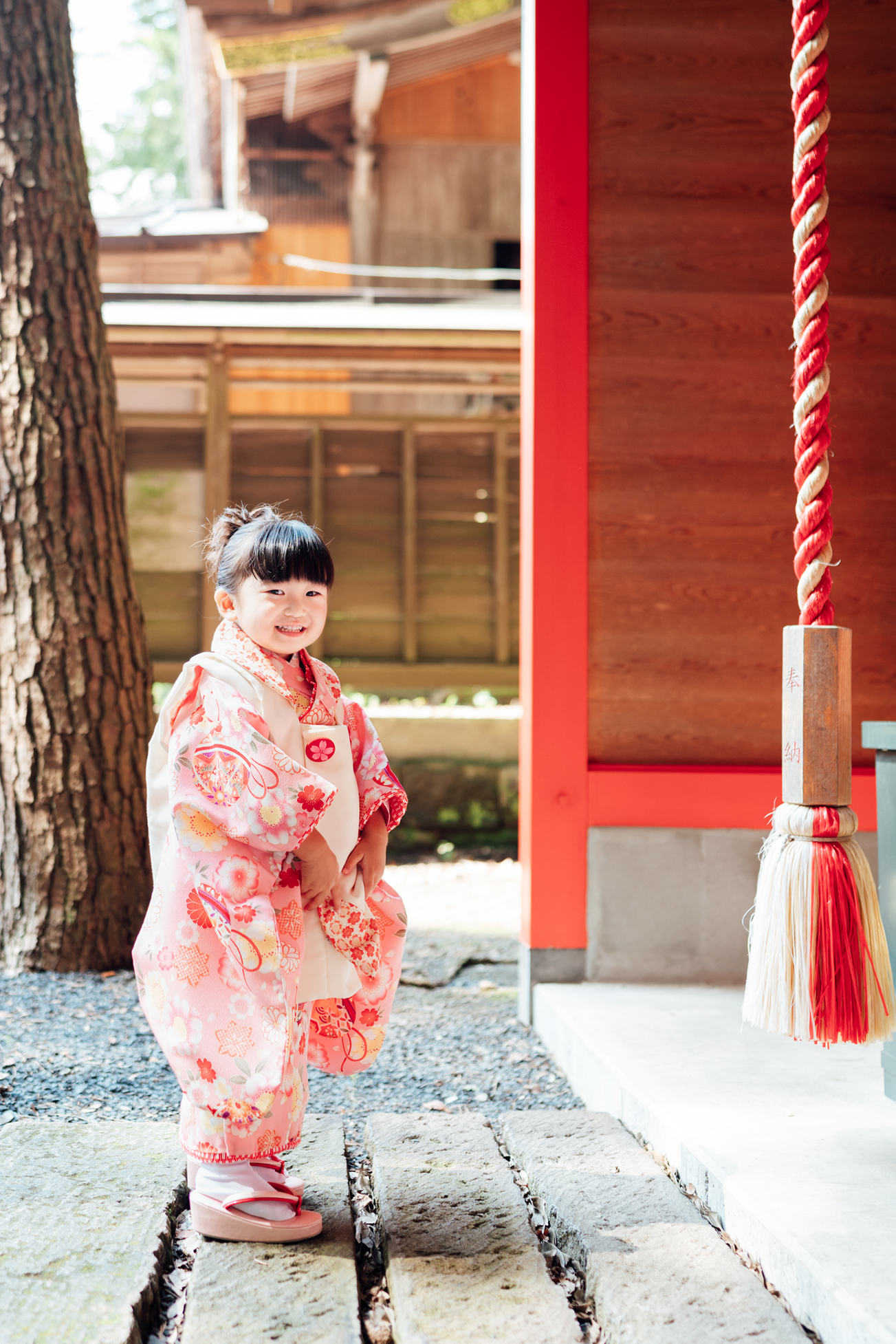 七五三写真11